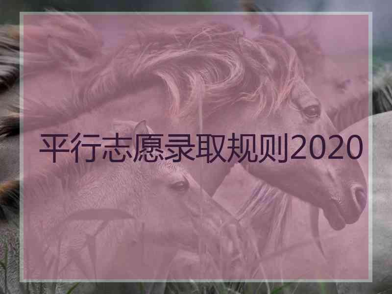 平行志愿录取规则2020 平行志愿录取规则2020
