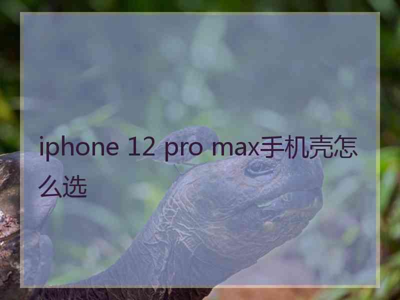 iphone 12 pro max手机壳怎么选 iphone 12 pro max手机壳怎么选