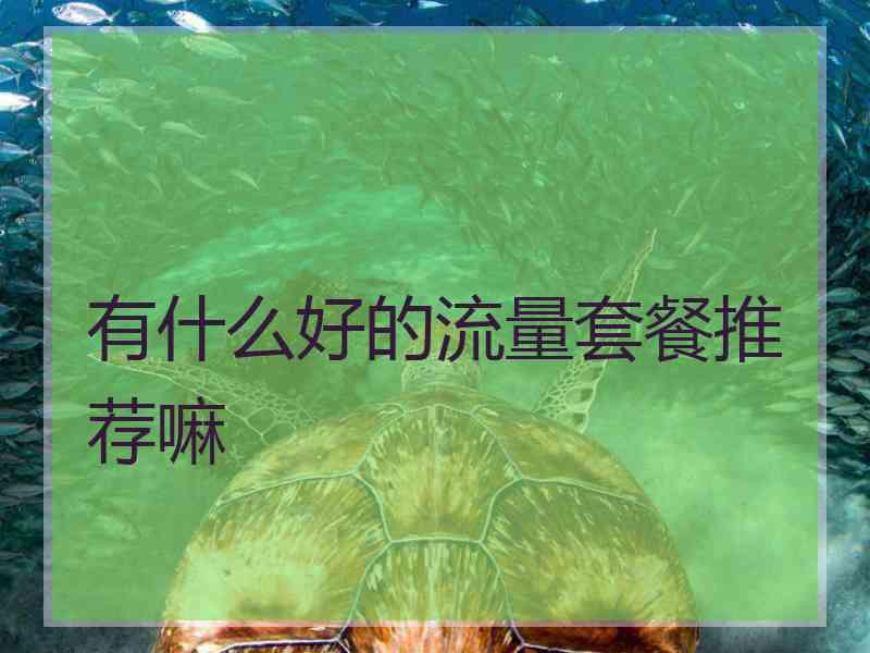 有什么好的流量套餐推荐嘛 有什么好的流量套餐推荐嘛