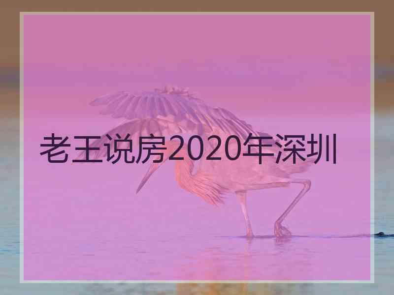 老王说房2020年深圳 老王说房2020年深圳