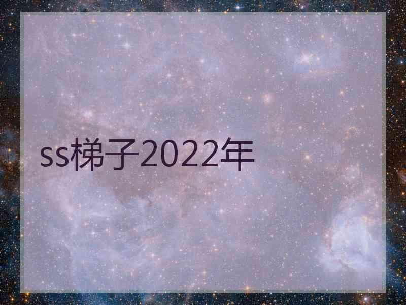 ss梯子2022年