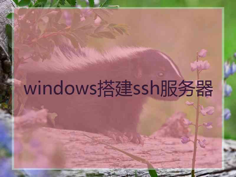 windows搭建ssh服务器
