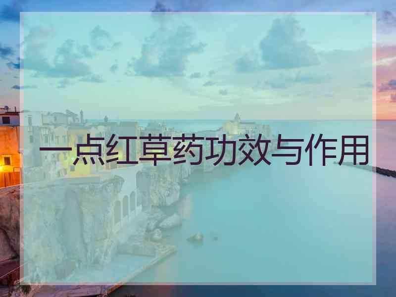 一点红草药功效与作用 一点红草药功效与作用