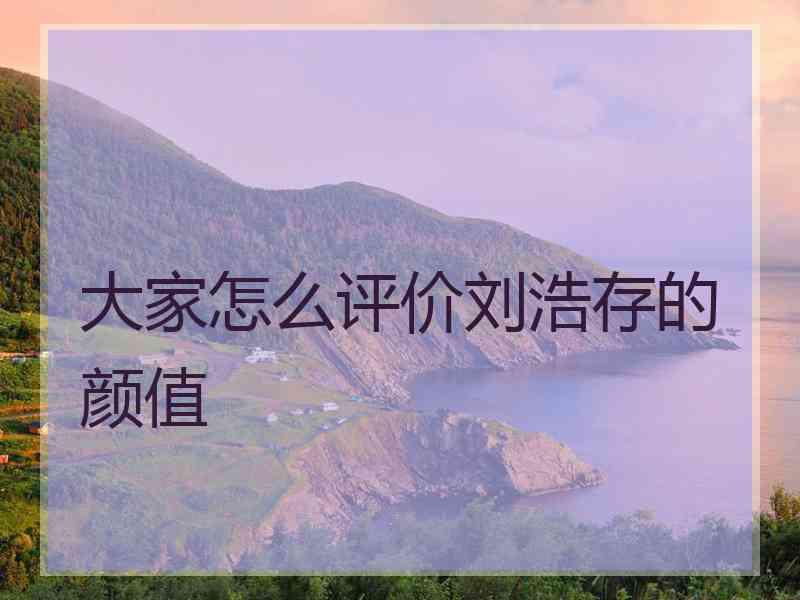 大家怎么评价刘浩存的颜值