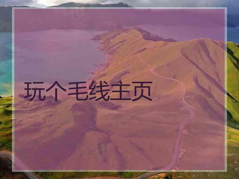 玩个毛线主页
