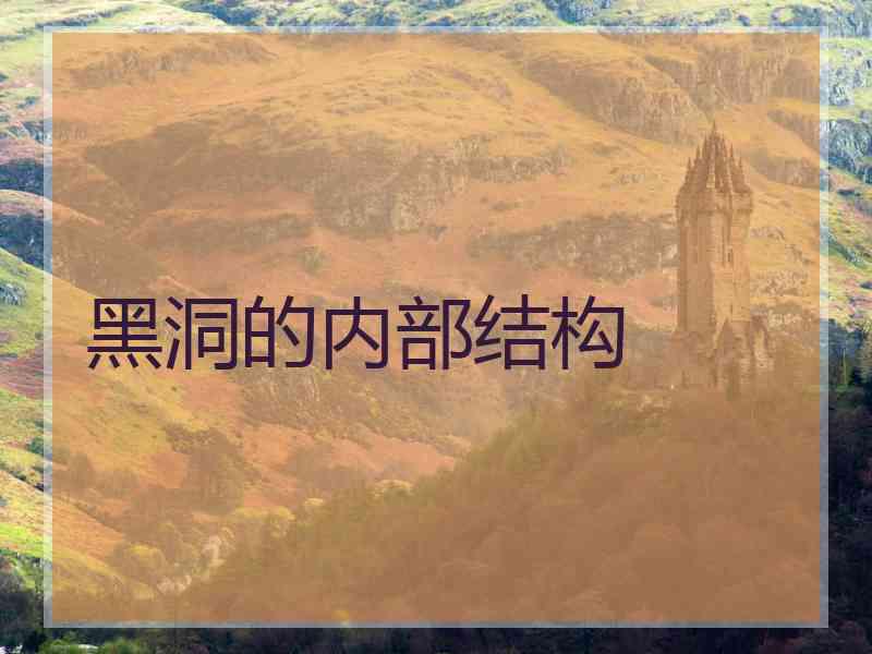 黑洞的内部结构