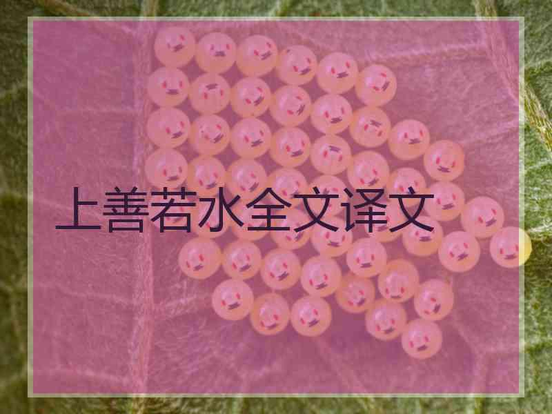 上善若水全文译文