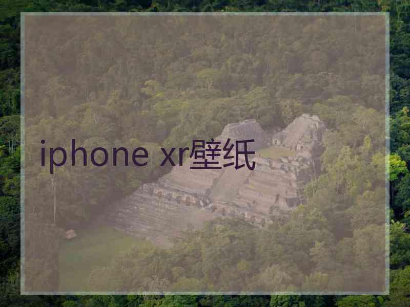 iphone xr壁纸