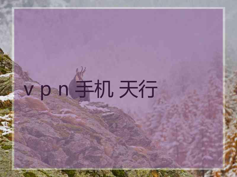 v p n 手机 天行