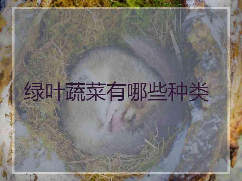 绿叶蔬菜有哪些种类