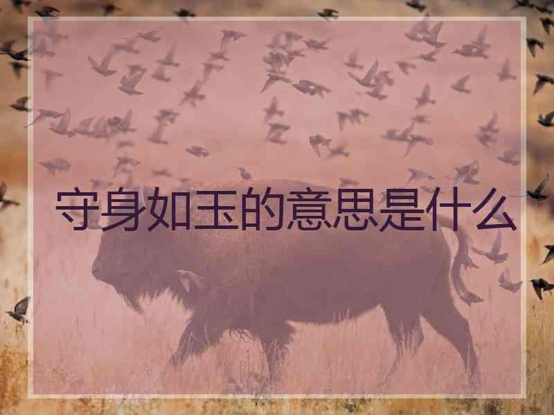 守身如玉的意思是什么