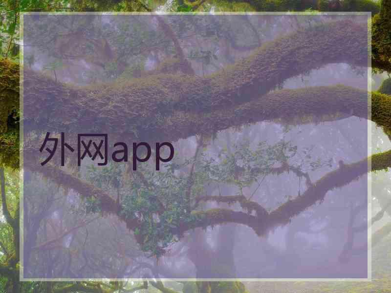外网app