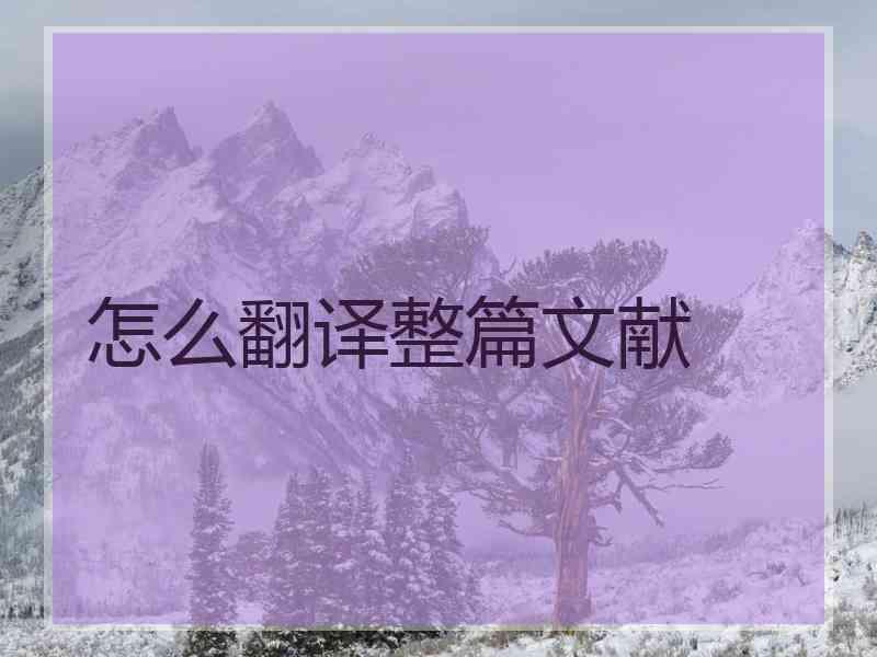 怎么翻译整篇文献