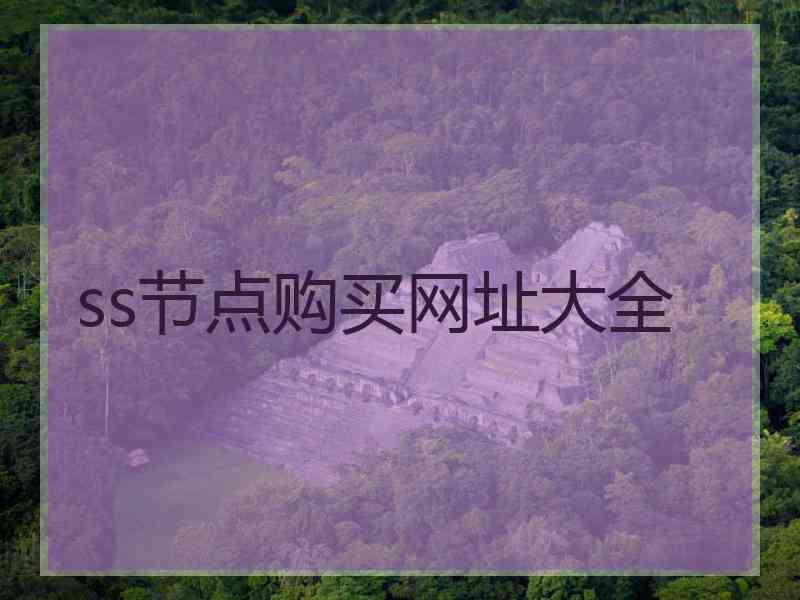 ss节点购买网址大全