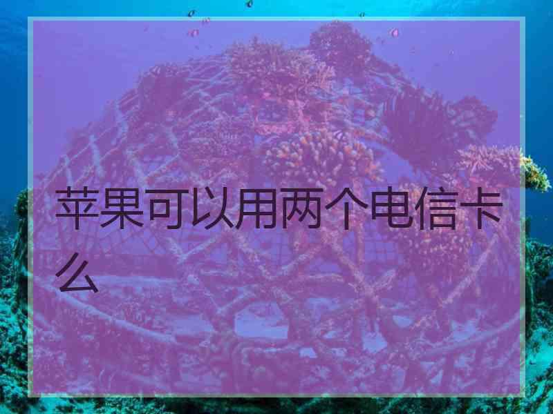 苹果可以用两个电信卡么