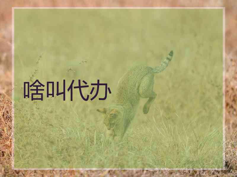 啥叫代办