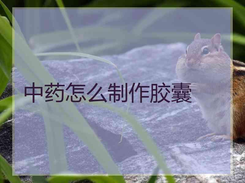 中药怎么制作胶囊