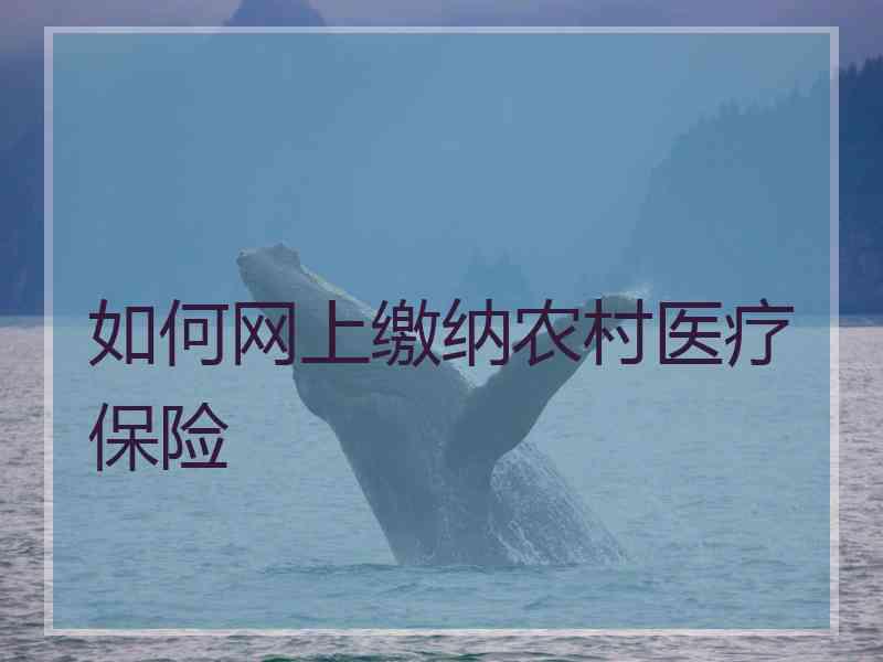 如何网上缴纳农村医疗保险