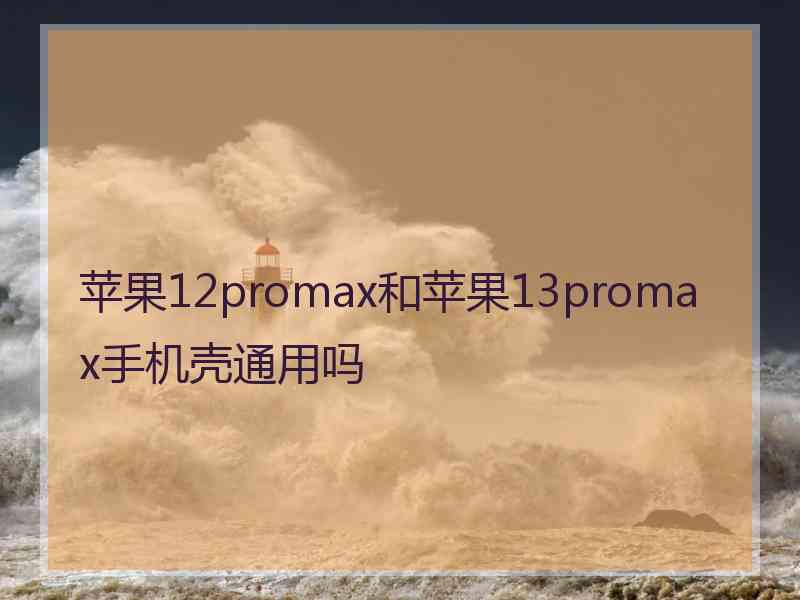 苹果12promax和苹果13promax手机壳通用吗