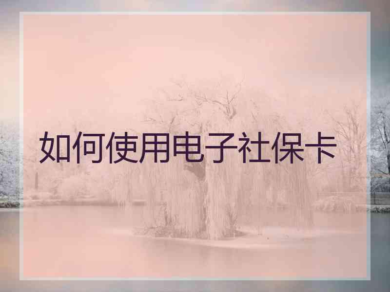 如何使用电子社保卡