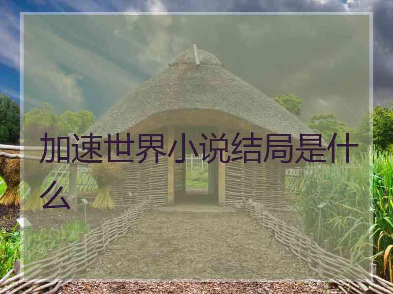 加速世界小说结局是什么