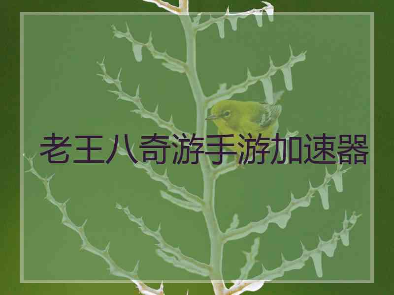 老王八奇游手游加速器