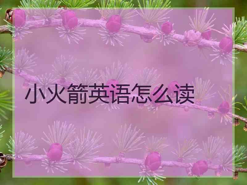小火箭英语怎么读