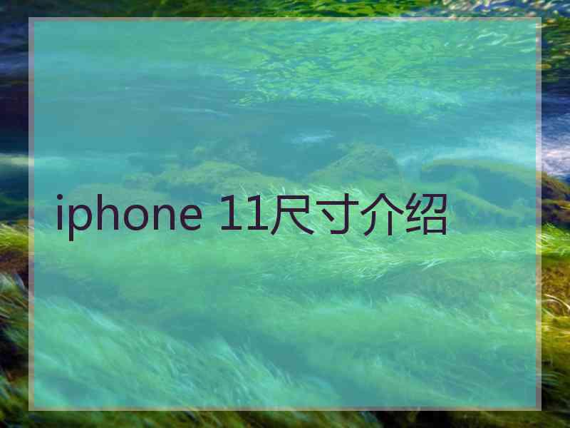 iphone 11尺寸介绍