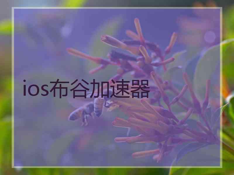 ios布谷加速器