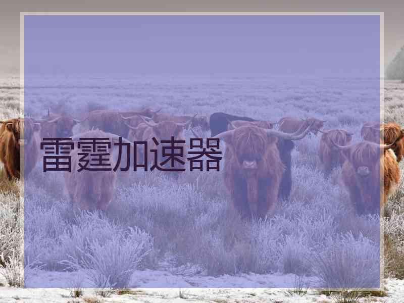 雷霆加速器