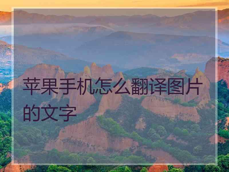 苹果手机怎么翻译图片的文字