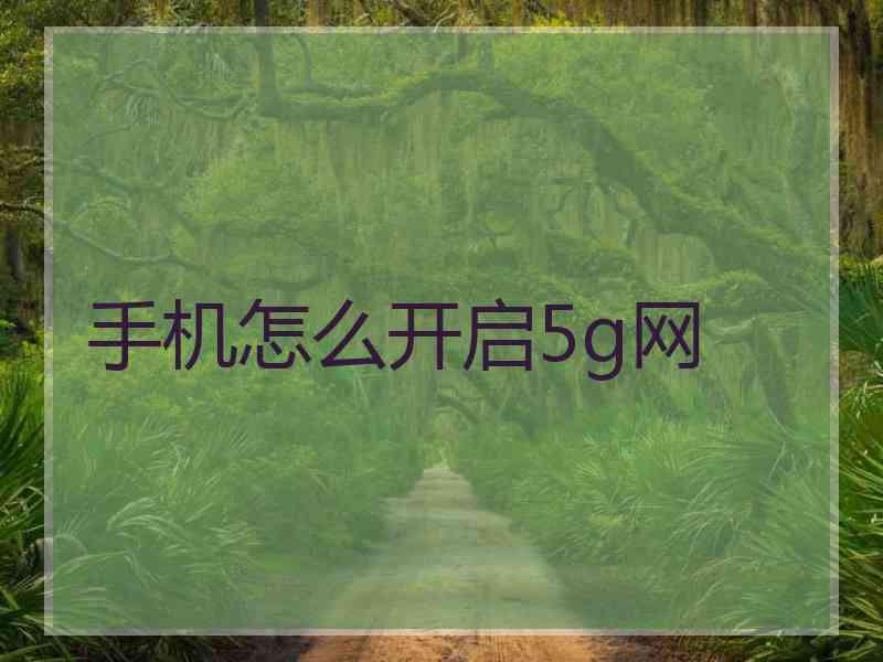 手机怎么开启5g网