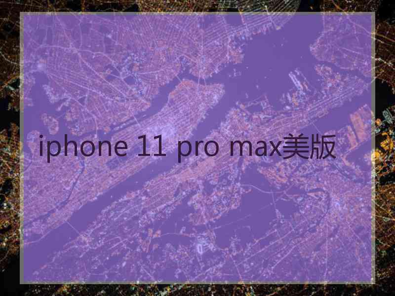iphone 11 pro max美版