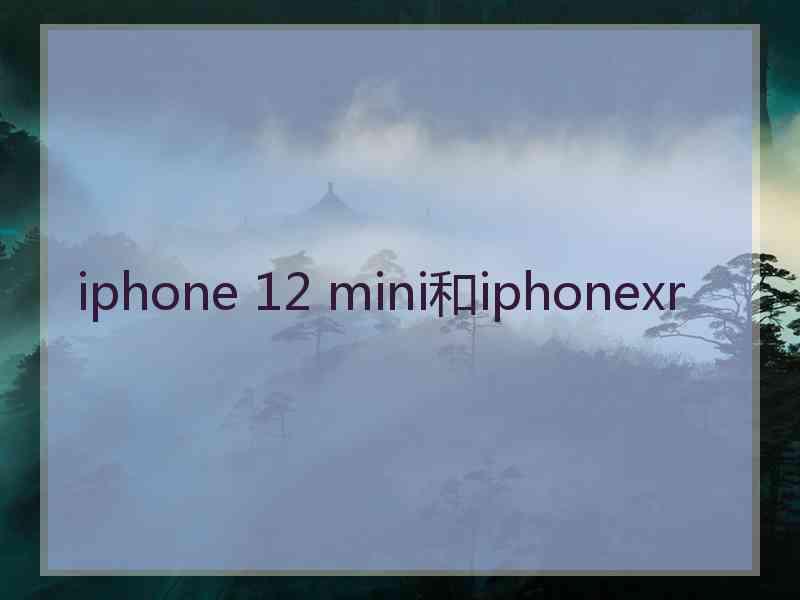 iphone 12 mini和iphonexr
