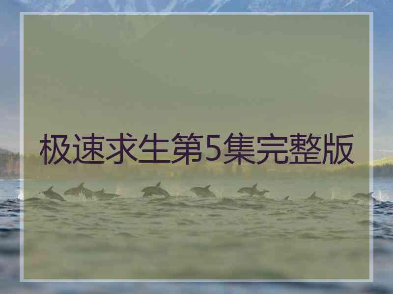 极速求生第5集完整版