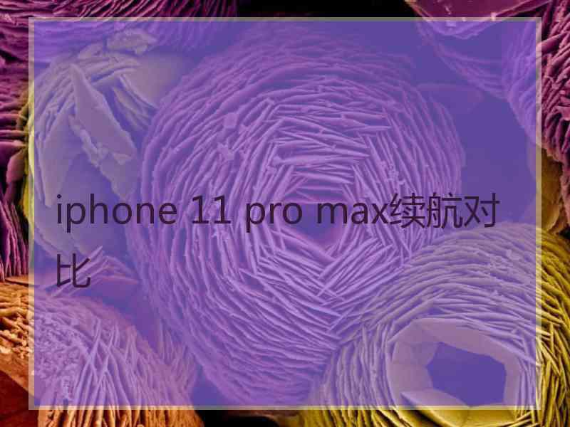 iphone 11 pro max续航对比