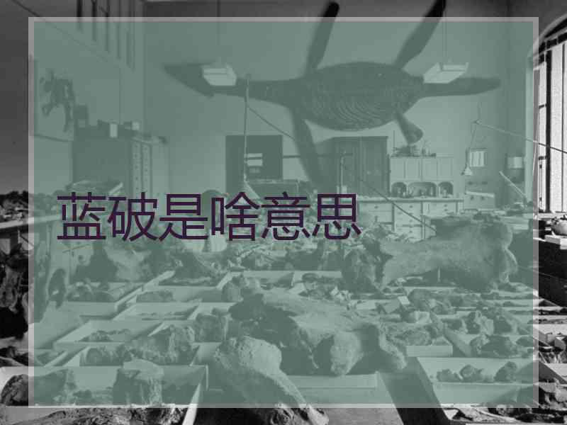 蓝破是啥意思