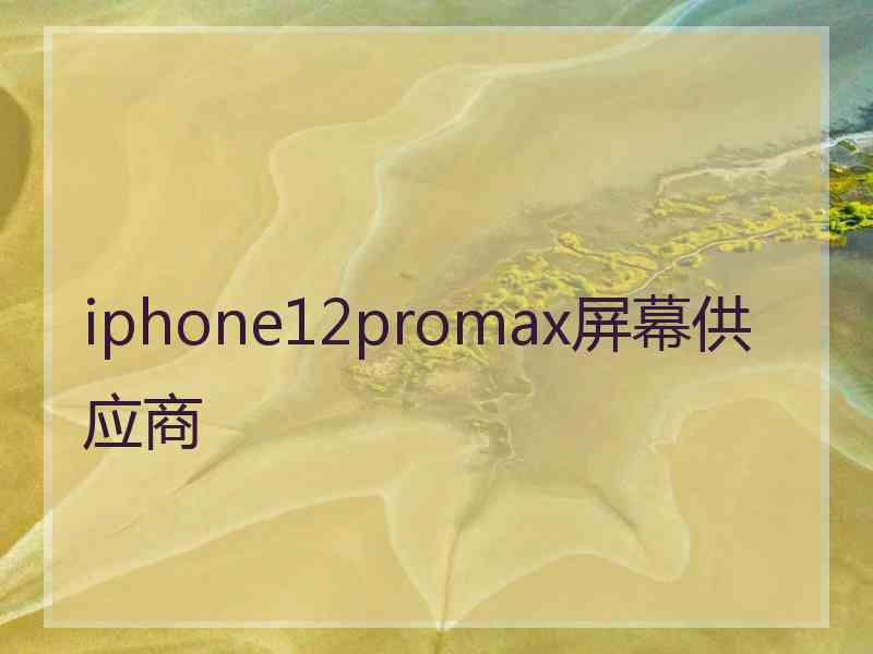 iphone12promax屏幕供应商