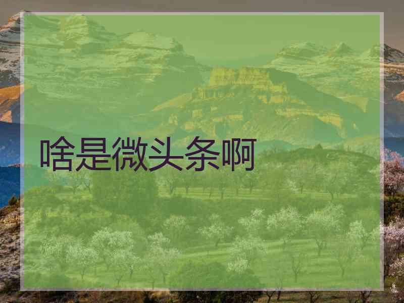 啥是微头条啊