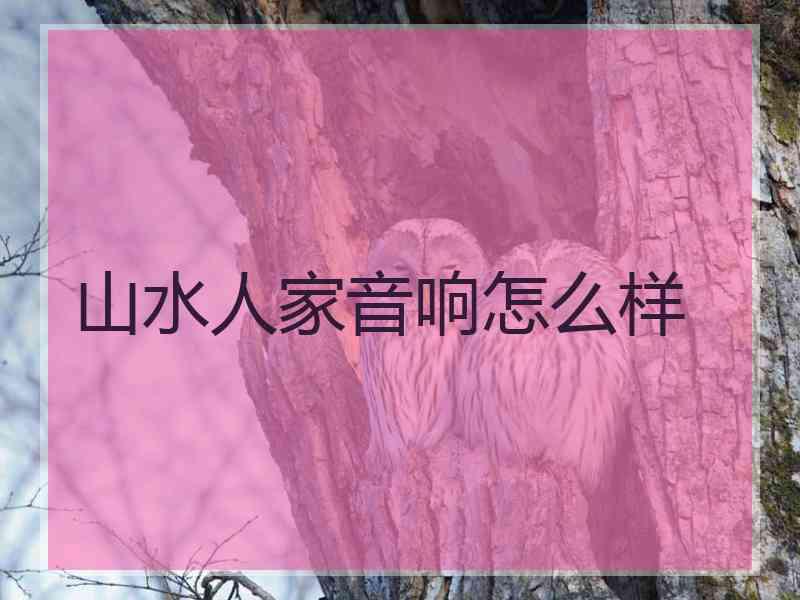 山水人家音响怎么样