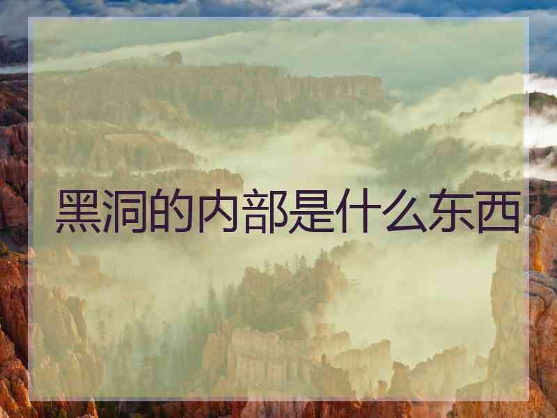 黑洞的内部是什么东西