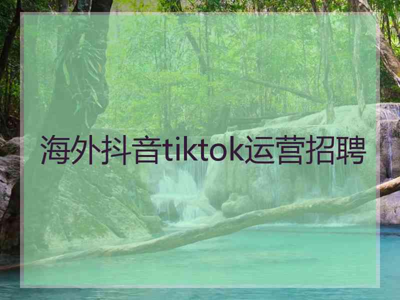海外抖音tiktok运营招聘