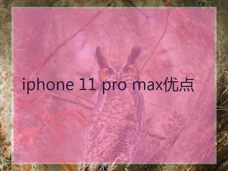 iphone 11 pro max优点