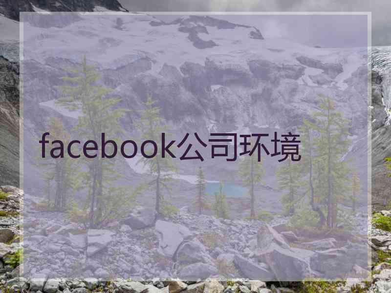 facebook公司环境