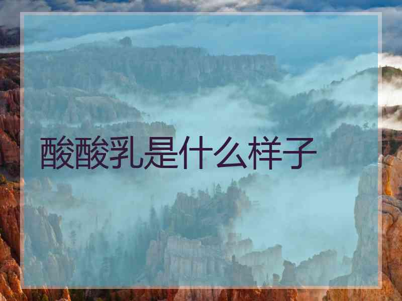 酸酸乳是什么样子