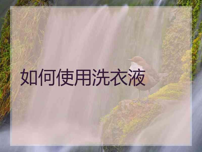 如何使用洗衣液