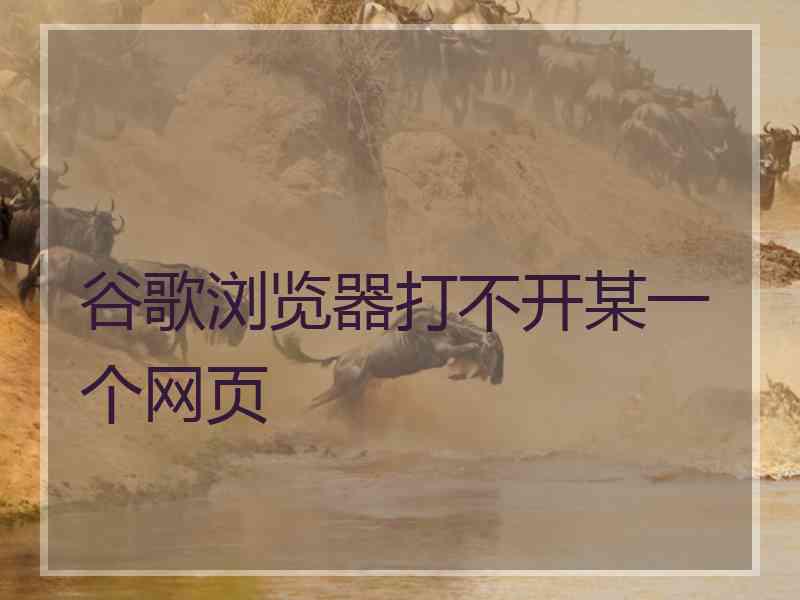 谷歌浏览器打不开某一个网页