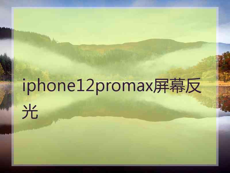iphone12promax屏幕反光