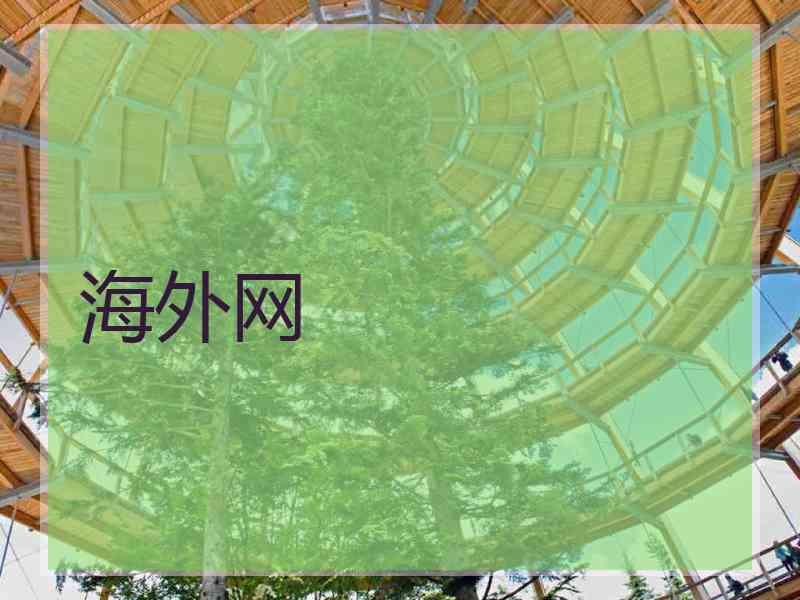 海外网