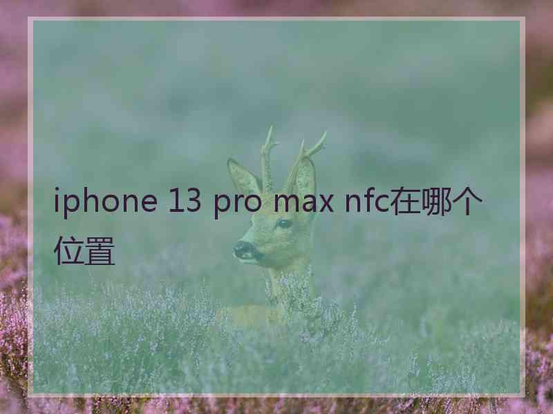 iphone 13 pro max nfc在哪个位置